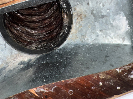 Home - Air Duct Cleaning 2 Little Ductlings AD4